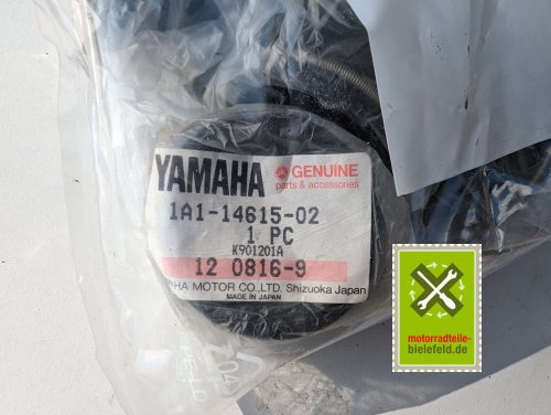 PXL_20240528_155850723